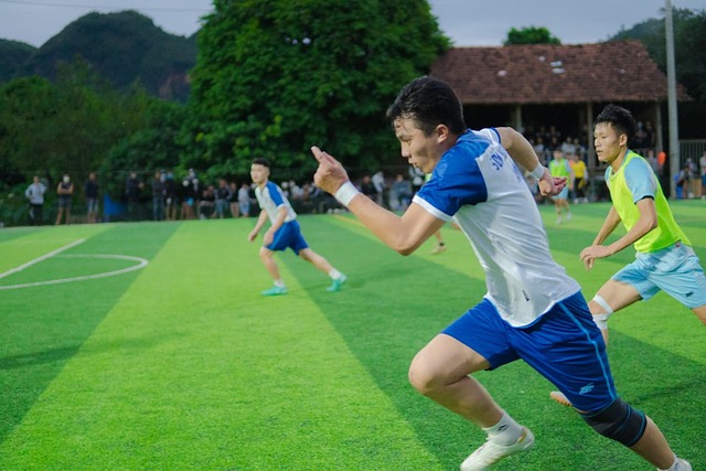 与批评