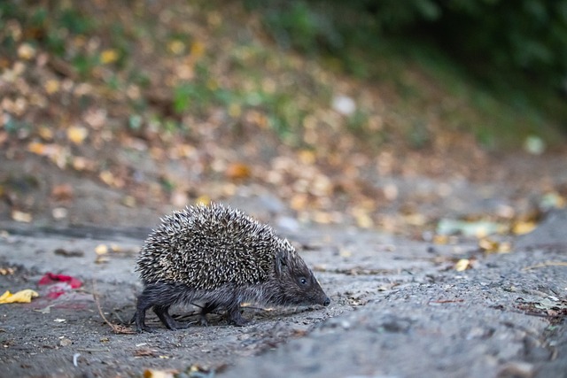 都已成为N 都已成为N