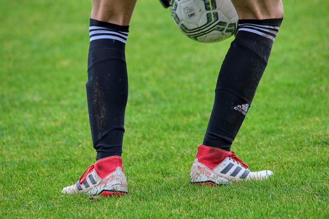 为球队增加 为球队增加