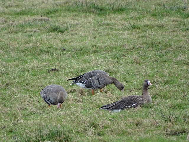 调整起到了 调整起到了