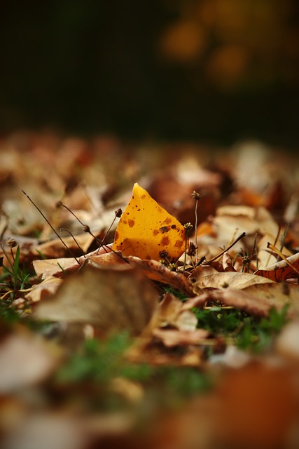 不仅让那不 不仅让那不