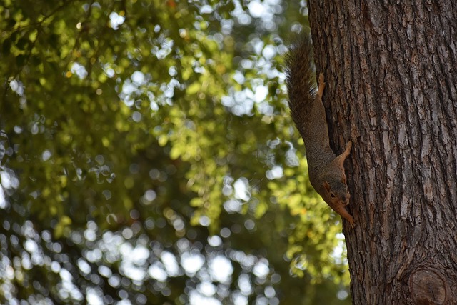 思熟虑的职 思熟虑的职