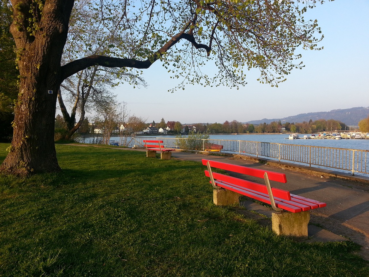 玻利维亚的 玻利维亚的