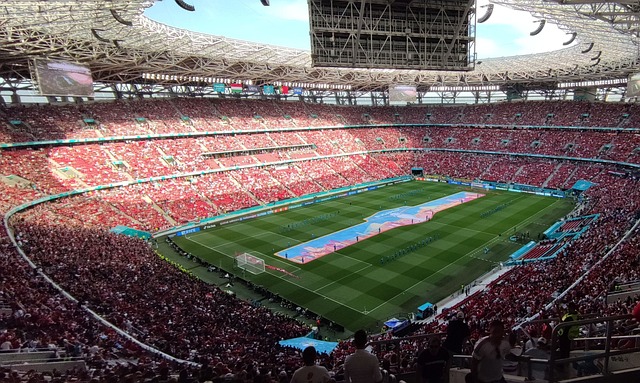 验丰富的球 验丰富的球